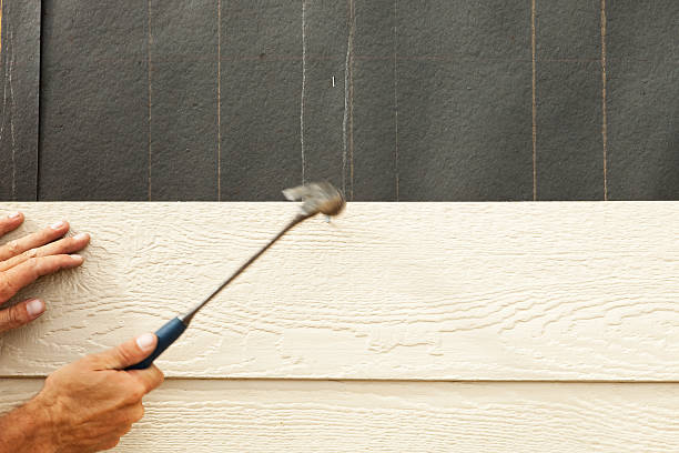 Best Steel Siding Installation  in Southern View, IL